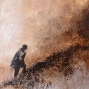 Terre de feu